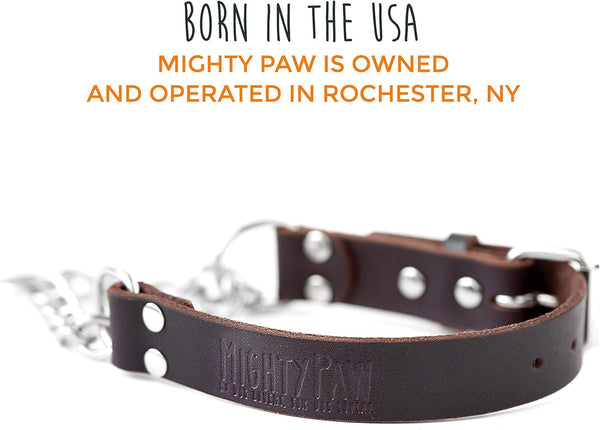 Mighty Paw Martingale Dog Collar - No Pull Design - Stainless Steel Chain - Limited Chain Cinch Training - Brown Leather Martingale Training Collar - Medium Size8