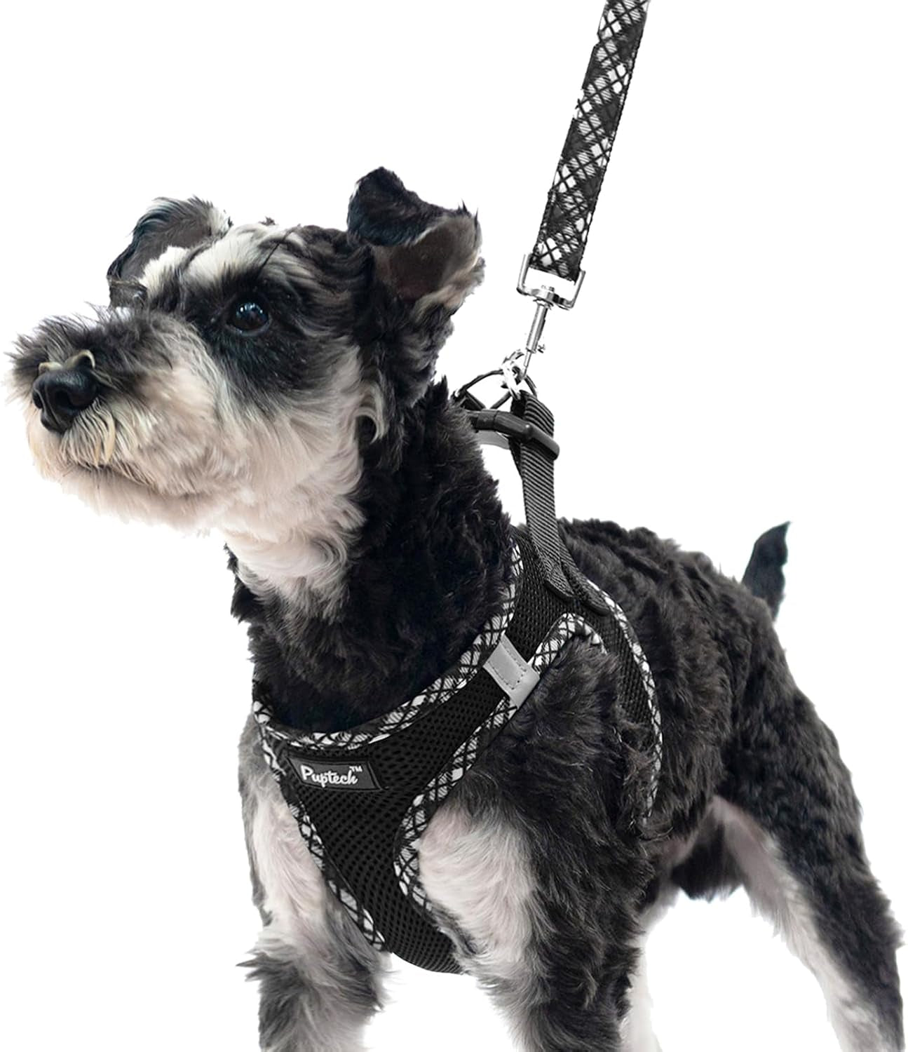 pupteck-dog-harness-and-leash-set-for-small-medium-dogs-no-pull-step-in-soft-mesh-puppy-cat-vest-harnesses-reflective-at-night-green-s