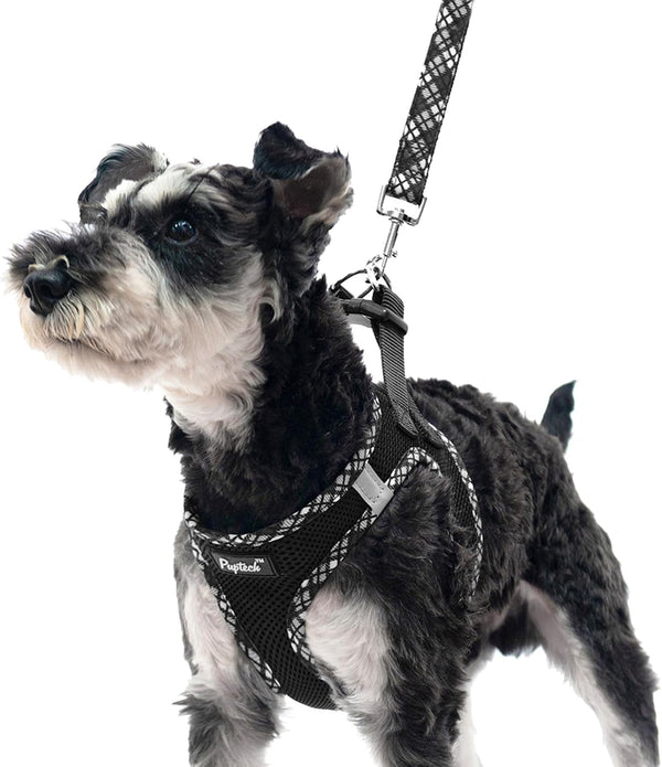 PUPTECK Dog Harness and Leash Set for Small Medium Dogs No Pull Step-In Soft Mesh Puppy Cat Vest Harnesses Reflective at Night, Green S41