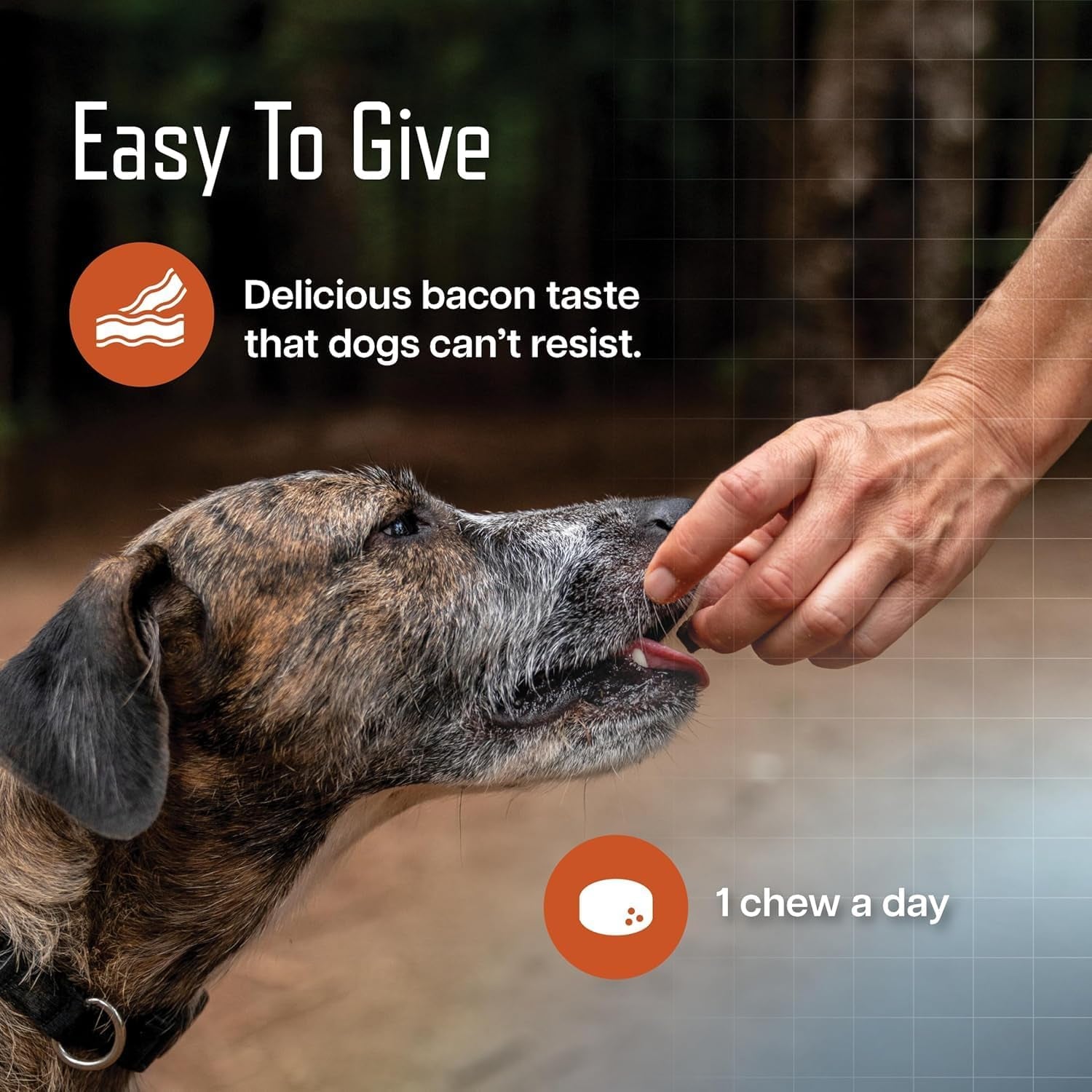 ursolyx-soft-chews-for-dogs-medium-breed-muscle-support-60-count-ursolic-acid-supplement-to-rebuild-muscle-strength-mobility-in-senior-active-or-recovering-dogs-2-month-supply