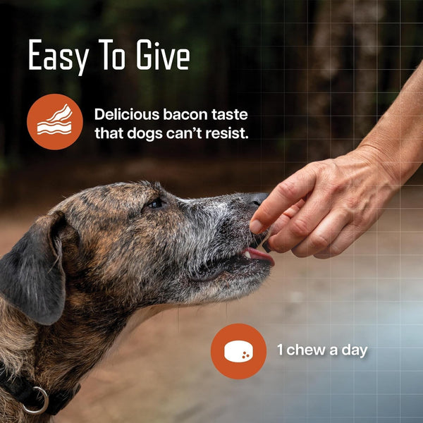 URSOLYX Soft Chews for Dogs, Medium Breed, Muscle Support, 60 Count | Ursolic Acid Supplement to Rebuild Muscle Strength & Mobility in Senior, Active or Recovering Dogs, 2 Month Supply7