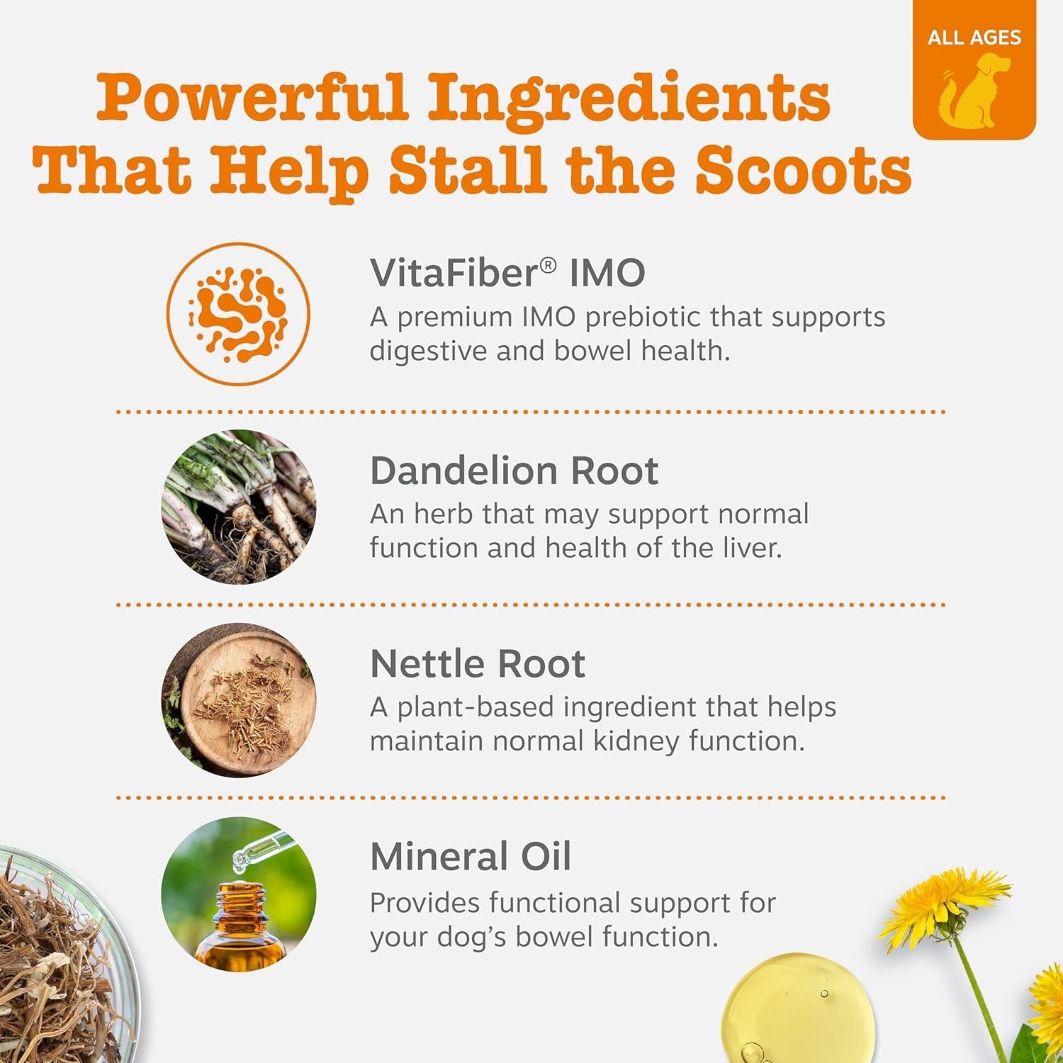 zesty-paws-scoot-away-soft-chews-healthy-bowel-function-with-bromelain-vita-fiber-for-dogs-dandelion-root-for-dog-digestive-support-and-gut-health-90-soft-chews