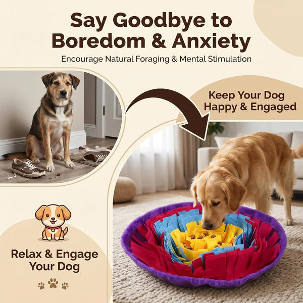 Snuffle Mat for Dogs, Multicolor Dog Enrichment Feeding Mat 19 Inch, Interactive Nose Work Sniff Mat for Dogs Puzzle Toy for Mental Stimulation, Slow Feeding and Anti-Boredom2