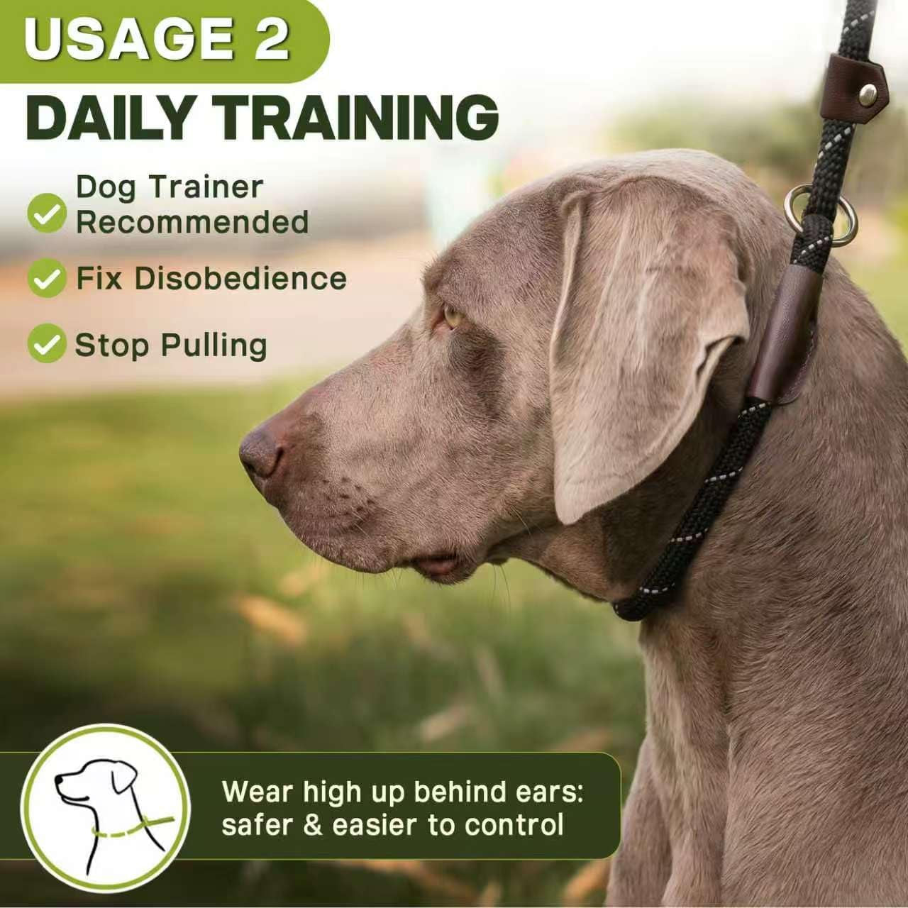 fida-durable-slip-lead-dog-leash-6-ft-x-1-2-heavy-duty-dog-loop-leashes-comfortable-strong-rope-slip-leash-for-large-medium-dogs-no-pull-pet-training-lead-with-highly-reflective1-2-black