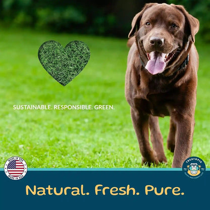 TREATOPIA Beef Lung Nuggies Dog Treats, 1 LB Bag, All-Natural | Healthy, High Protein, Hand-Trimmed, Slow-Roasted, Made in the USA, Nutritious, No Additives, No Fillers, All Life Stages9