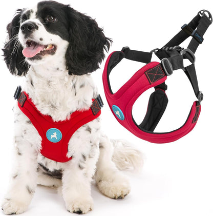 Gooby Escape Free Sport Harness - Red, Medium - No Choke Step-In Patented Neoprene Small Dog Harness with Four-Point Adjustment - Perfect on the Go Dog Harness for Medium Dogs No Pull and Small Dogs1