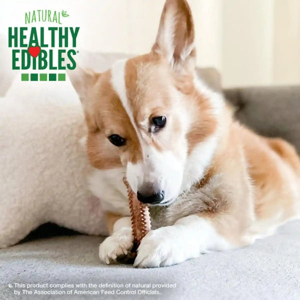 Nylabone Healthy Edibles Meaty Center Dog Treats, Beef Flavor, 12 Count | Natural Dog Chew Bones, Made in USA, Highly Digestible, Help Clean Teeth, Long Lasting Chews for Small Dogs up to 25 Lbs3