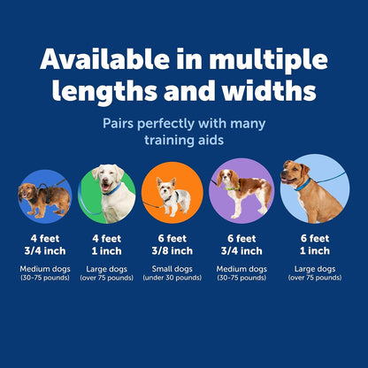 Petsafe Nylon Dog Leash - Strong, Durable, Traditional Style Leash with Easy to Use Bolt Snap - 3/8 In. X 6 Ft., Black | Durable Nylon Leash with Easy On/Off Bolt Snap Hook, Pairs Perfectly with Easy Walk Harness and Gentle Leader Headcollar5