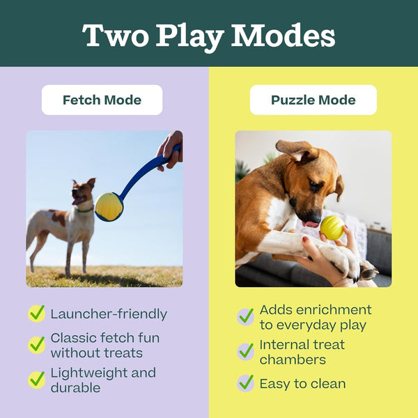 WOOF Flyball Fetch Ball & Dog Treat Dispenser Toy, 3-Pack | 2-In-1 Fetch Ball, Fits Standard Ball Launchers, Treat Dispenser, Durable Rubber, Dishwasher Safe, Puzzle Enrichment5