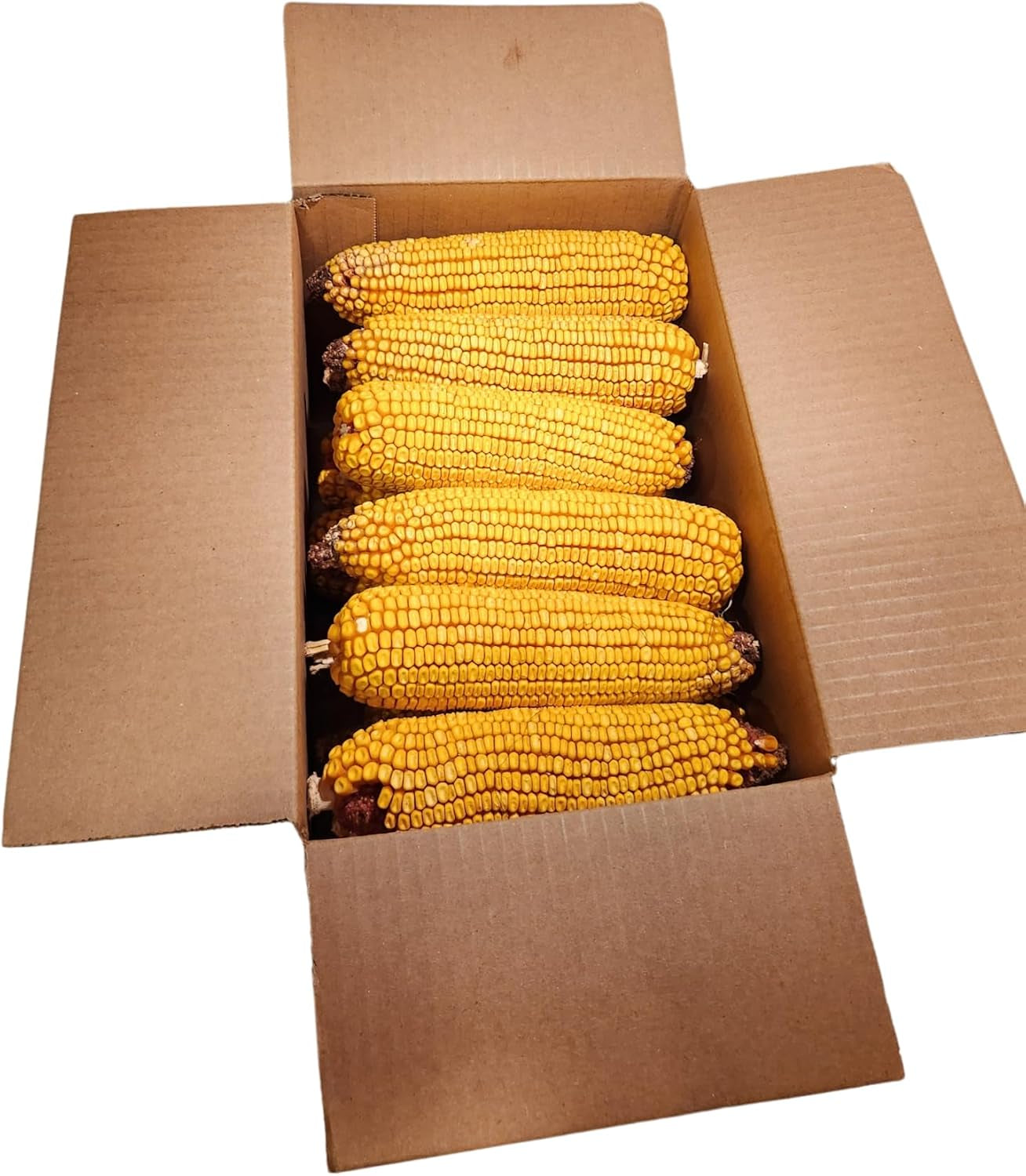 wildlife-treats-ear-corn-kernels-hand-packed-boxes-squirrel-food-10-pound-pack-of-1-yellow