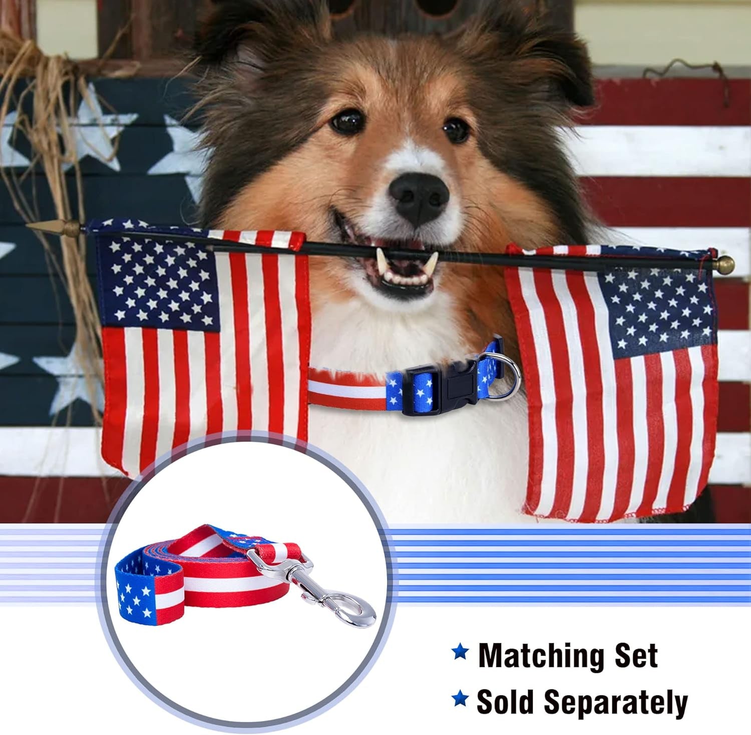 native-pup-american-flag-dog-leash-american-flag
