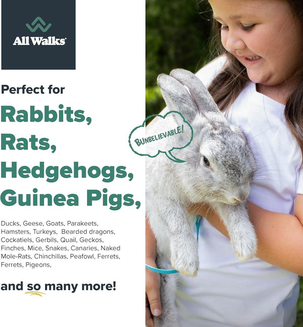 | Hemp Bedding for Small Animals 18.5L (3.7 LBS) | Low Dust, Odor Control, Highly Absorbent, Natural Cage Bedding for Rabbits, Hamsters, Guinea Pigs, Birds, and More6