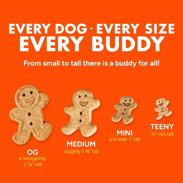 Buddy Biscuits Softies 5 Oz Pouch, Grain-Free Soft & Chewy, Natural Grilled Beef Flavor Dog Treats, Oven Baked in the USA9