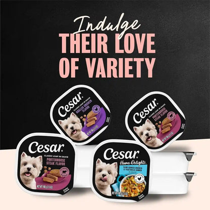 Cesar Home Delights Wet Dog Food, Dinner and Stew Variety, 3.5 Oz, 24 Count | Real Meat #1 Ingredient, No Fillers, No Added Sugar, No Artificial Flavors, Complete & Balanced, Easy Peel Trays7