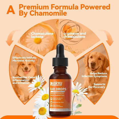 Dog Ear Cleaner Drops for Infection Treatment | Vet Formulated Patented Quantum Silver Water-Based Drops Soothe Ear Itching, Irritation, Cleans Wax, Odor, 1 Fl Oz3