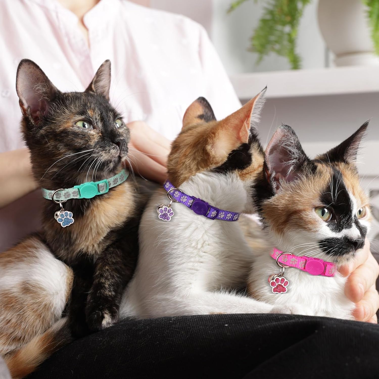 4pcs-breakaway-cat-collars-reflective-cat-collar-with-bells-kitten-collars-for-boy-girl-cats-breakaway-collar-for-cats-with-paw-pendant-6-9-inchpurple-hotpink-red-teal
