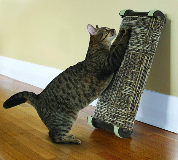 Lean-It Scratching Post Wide 20-Inch, Colors May Vary3