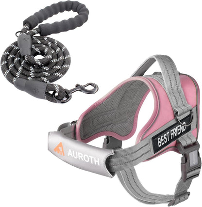 AUROTH Dog Harness and Leash Set, Soft Padded Service Dog Vest with 5.25FT Dog Leash, No Choke, Easy on Pet Vest, Adjustable Reflective No Pull Pet Vest Medium Sized Dog, Easy Walking and Training1