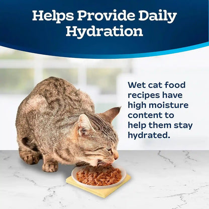 Blue Buffalo Tastefuls Wet Food for Adult Cats, Made with Natural Ingredients, Tuna Entrée, Tender Morsels in Gravy, 3Oz Cans, 4Pack Trial Size7