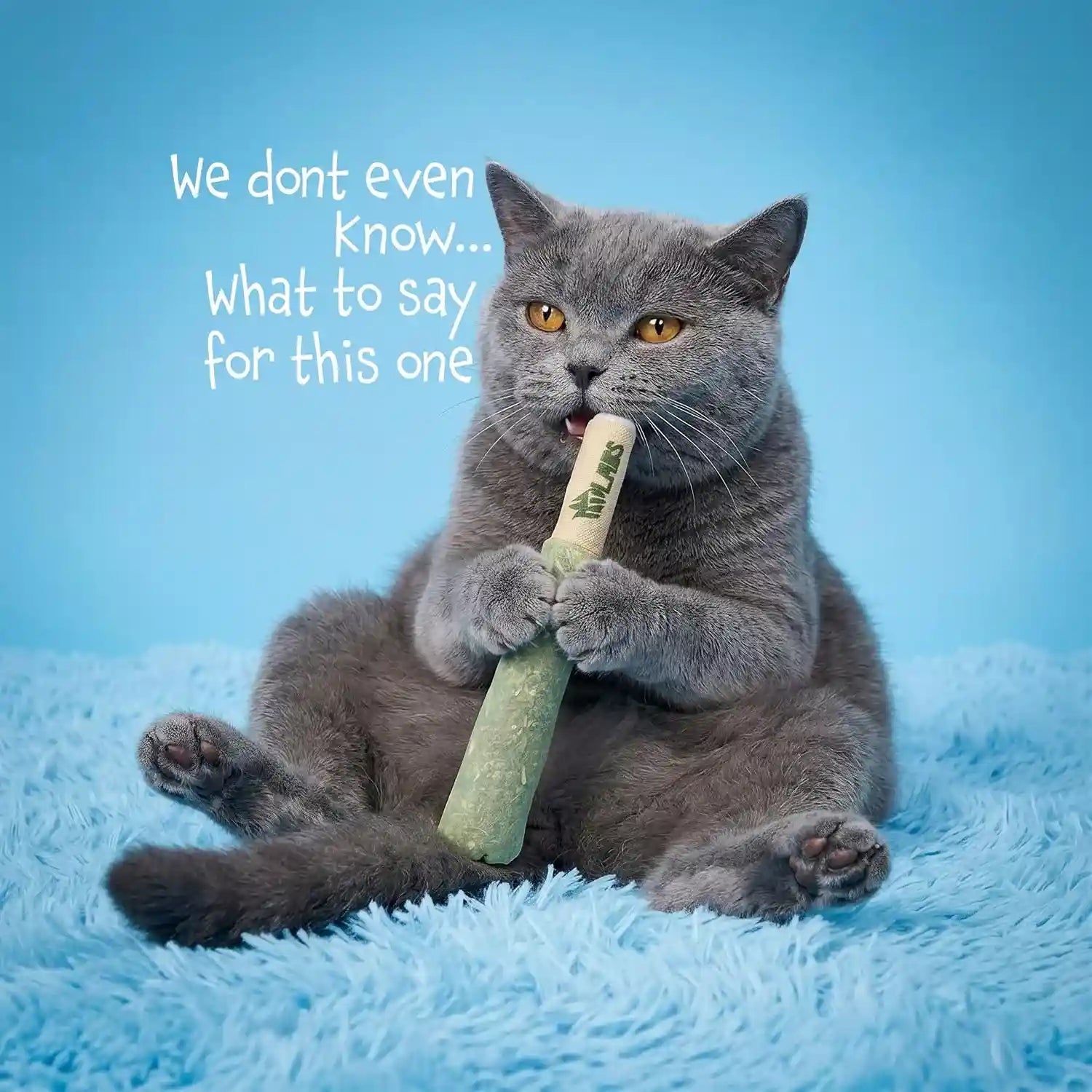 lit-labs-cat-doobie-3-pack-catnip-toys-for-cats-funny-cat-toys-safe-kitten-teething-chew-and-kicker-toys-stress-relieving-indoor-cat-gifts-that-hit-different