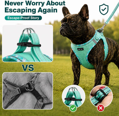 AMTOR Small Dog Harness with Leash Set, No Escape Easy Walk Puppy Harnesses for Training Walking, Step-In Reflective Soft Dogs Vest for XS S Medium Extra-Small Large Sized Dog(Green,S)6