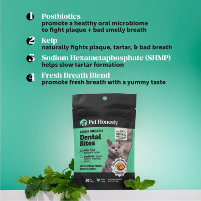Fresh Breath Dental Bites for Cats – Crunchy & Creamy Cat Dental Treats for Fresh Breath, Tartar & Plaque Control – Dual-Texture Cat Oral Care Bites for Bright Teeth & Healthy Gums – 30 Day Supply3