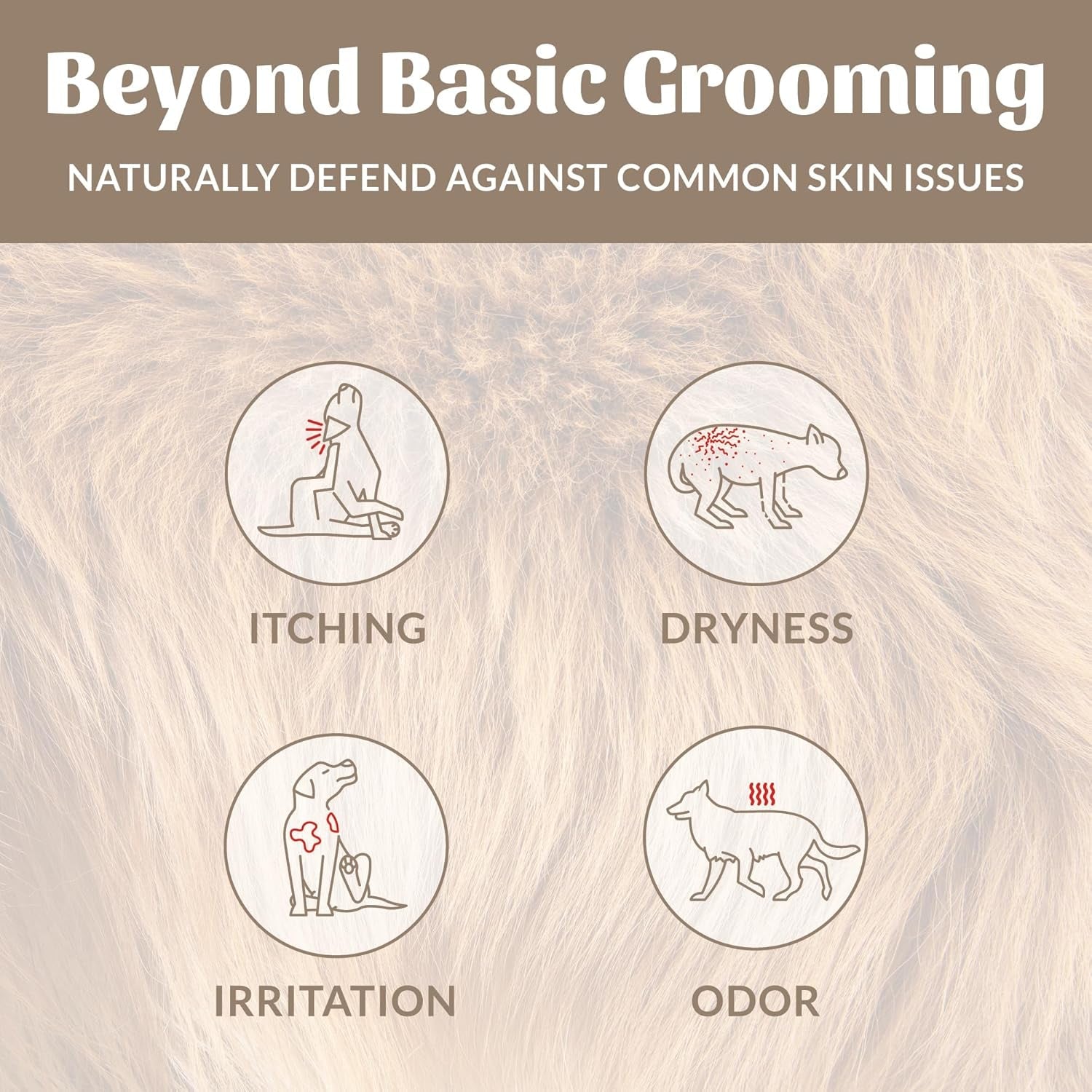 skouts-honor-probiotic-dog-shampoo-and-conditioner-dotw-16-oz-hydrating-natural-2-in-1-for-itchy-skin-microbiome-friendly-with-avocado-oil-omega-3s-paraben-sulfate-free