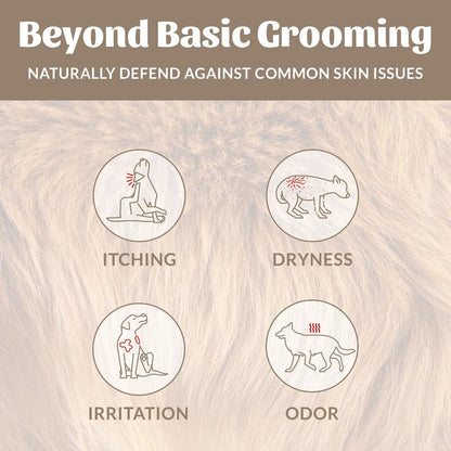 SKOUT'S HONOR Probiotic Dog Shampoo and Conditioner - DOTW, 16 Oz | Hydrating Natural 2-In-1 for Itchy Skin, Microbiome-Friendly with Avocado Oil & Omega-3S, Paraben & Sulfate-Free3