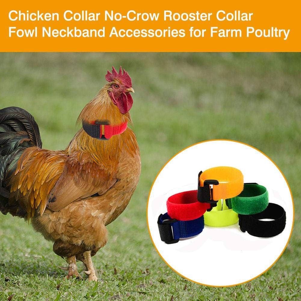 upgrade-anti-crow-rooster-collar-chicken-neckband-noise-free-no-crow-rooster-collar-anti-noise-nylon-neck-belt-to-keep-roosters-quiet-6-pieces
