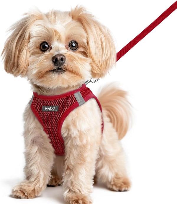 Eagloo Small Dog Harness and Leash Set, Step in Small Sized Puppy Pet Vest | Light, Soft, Breathable Air Mesh, Easy on and off with Hook & Loop, Reflective for Safe Walking, Pink, S57