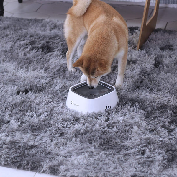 Lumoleaf No Spill Water Bowl for Dogs, Slow Feeder for Messy Drinkers, Drip-Free, Splash-Proof Design (Grey, 35Oz)6