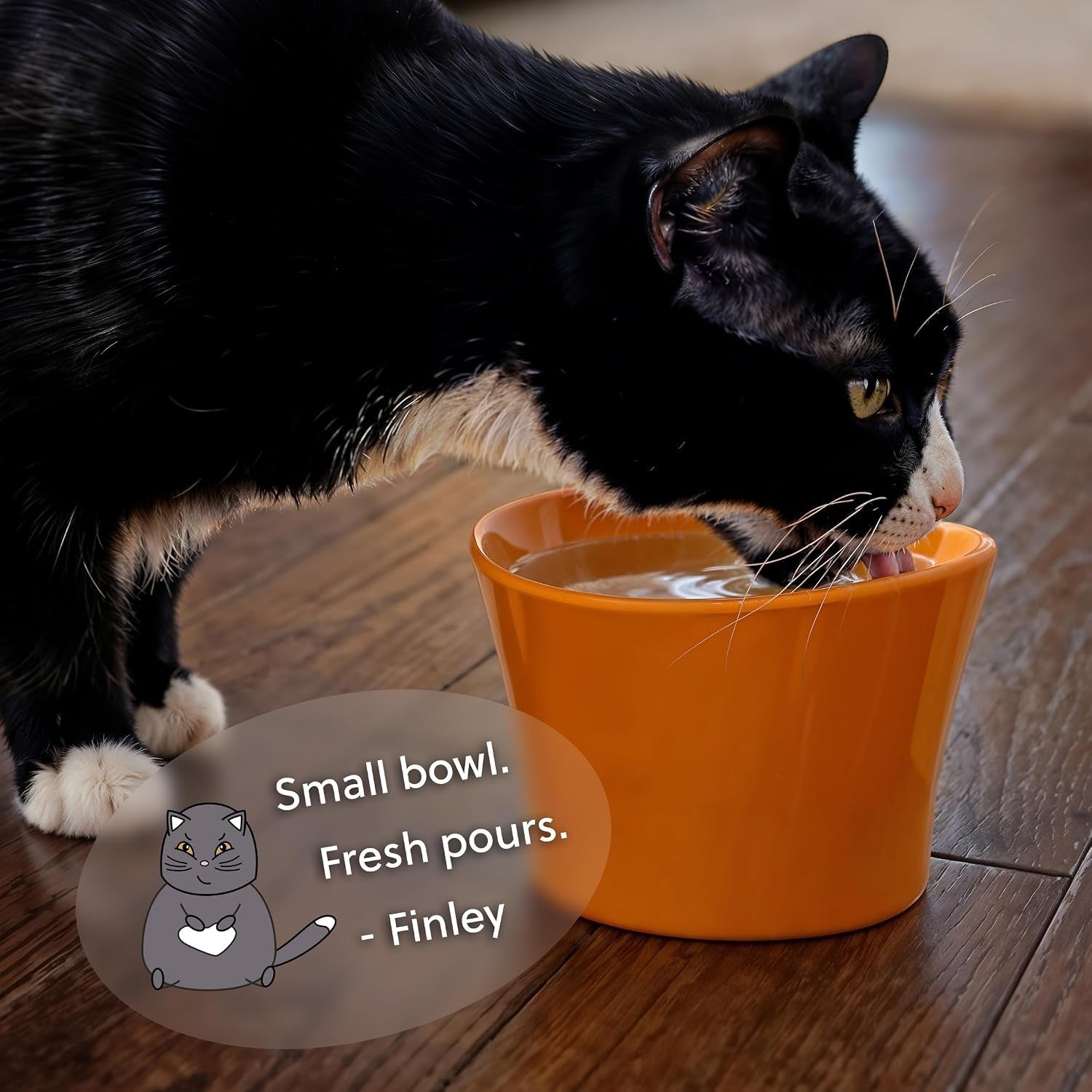 elevated-cat-bowls-for-water-whisker-neck-fatigue-shallow-cat-dishes-raised-bowl-for-indoor-cats-vet-recommended-height-modern-pedestal-design-non-slip-dishwasher-safe-8-oz-powder-blue