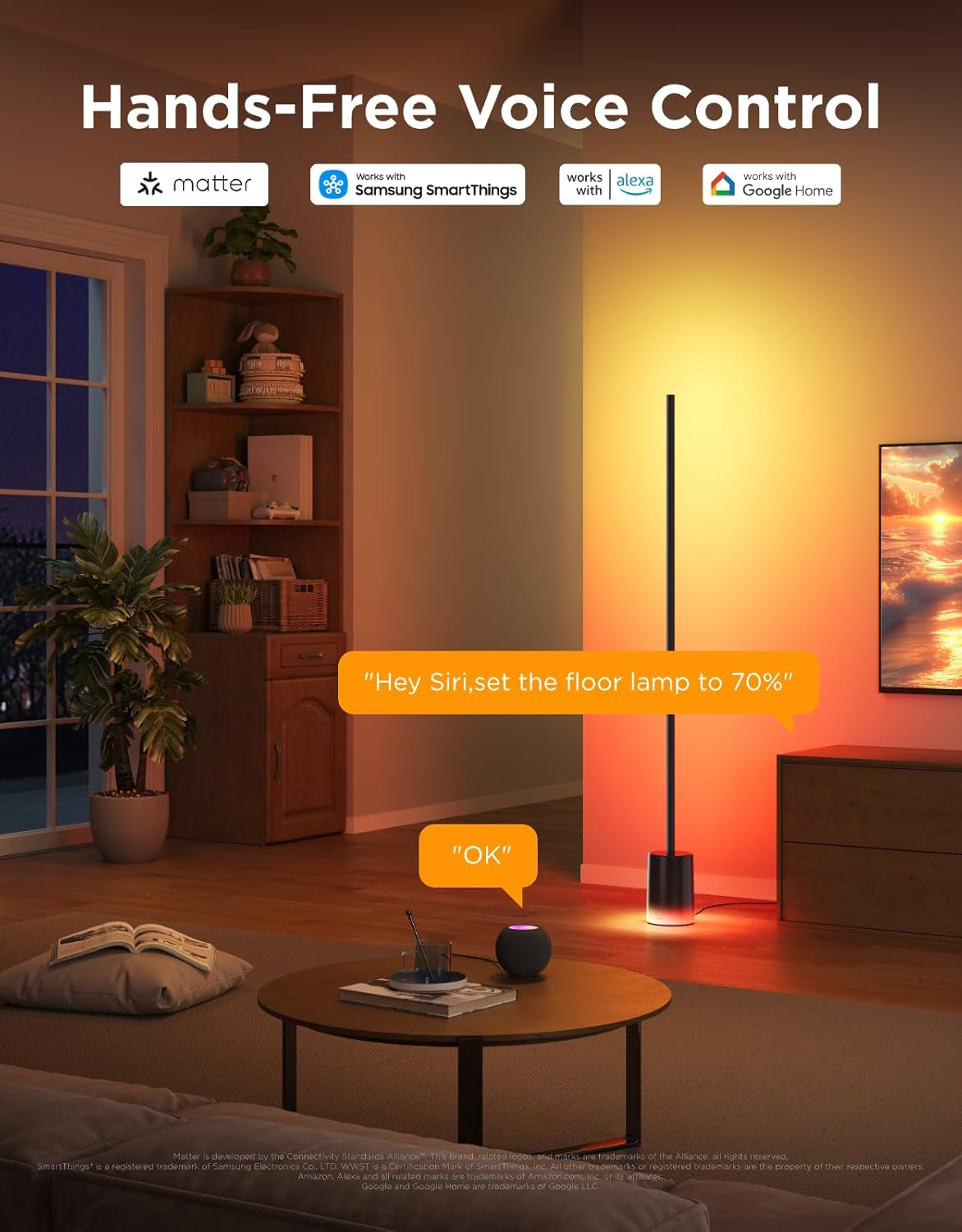 govee-floor-lamp-2-rgbic-smart-floor-lamp-for-living-room-bedroom-1725lm-warm-cool-white-led-2200k-6500k-compatible-with-smartthings-matter-alexa-music-sync-scene-modes-black1-pack