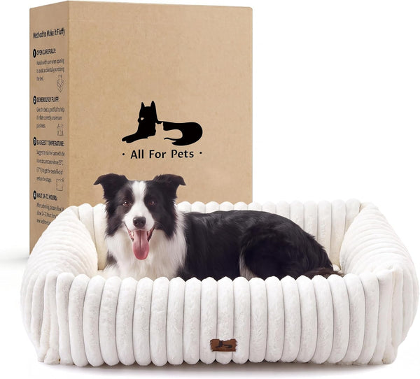 Cute Dog Bed for Small Dogs & Cats,Washable Fluffy Cat Beds for Indoor Cats, Rectangle Orthopedic Memory Foam Puppy Beds with Anti-Slip Bottom, 20 X19 X 7 Inches, Cream(20X19X6Inchs)23