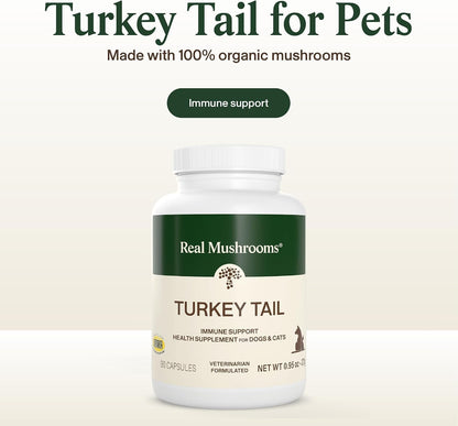 Real Mushrooms Turkey Tail Capsules for Pets –Cat Probiotics & Dog Vitamins – Organic Mushroom Supplement for Dogs & Cats – Supports Daily Balance & Well-Being Non-Gmo, 90 Ct | Daily Balance and Well-Being Support, Organic Turkey Tail Extract, Non-Gmo, Pet Mushroom Supplement, for Dogs and Cats3