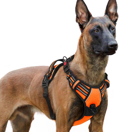 Rabbitgoo Dog Harness Medium Sized, Updated Easy on & off with 3 Buckles | No Pull No Choke, Walking with 2 Clips and Handle, Adjustable Soft Reflective, Blue, Medium22