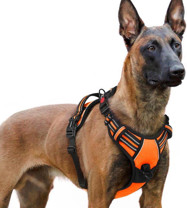 Rabbitgoo Dog Harness Medium Sized, Updated Easy on & off with 3 Buckles | No Pull No Choke, Walking with 2 Clips and Handle, Adjustable Soft Reflective, Blue, Medium22