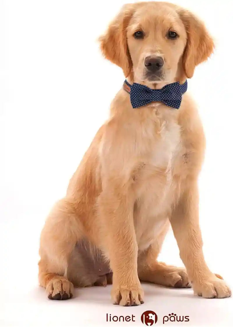 lionet-paws-boy-dog-collar-with-bowtie-comfortable-adjustable-cute-navy-blue-bow-tie-collar-for-male-dogs-gift-xlarge-neck-16-26-inches