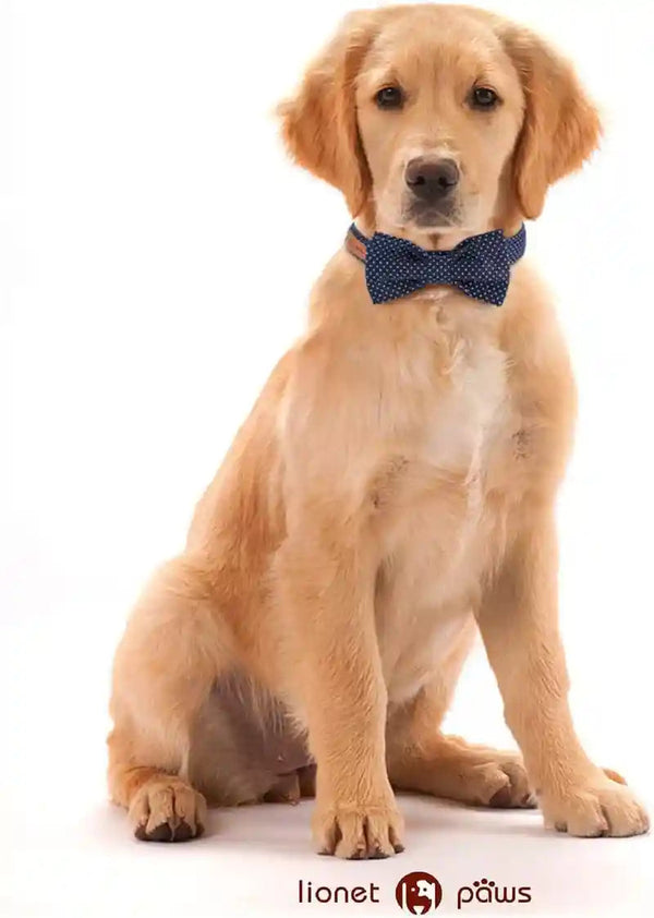 Lionet Paws Boy Dog Collar with Bowtie, Comfortable Adjustable Cute Navy Blue Bow Tie Collar for Male Dogs Gift, Xlarge, Neck 16-26 Inches4