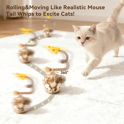 Migipaws Interactive Migimouse Cat Toy 360° Rolling & Spin with Mesh Plastic Tail for Indoor Cats Smart Motion Sensor, Realistic Squeak, Rechargeable Plush Kitten Toy(Brown Long)2