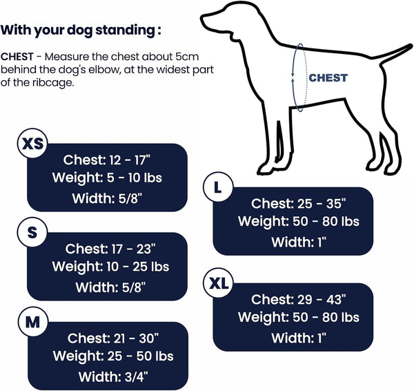 No Pull Dog Harness, Small, Purple/Black | Non Restrictive, Neck Buckle Design, Six Points Adjustment, Lightweight Easy Walk, Small Dogs Chest(17-23Inches)6