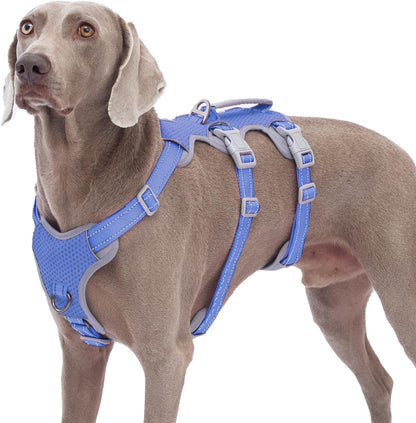 Huntboo Escape Proof Harness, No Slip Dog Harness Escape Proof, Fully Reflective Harness with Handle, Breathable, Durable, Adjustable Vest for Medium Dogs Walking and Training Gear (Black, M)10