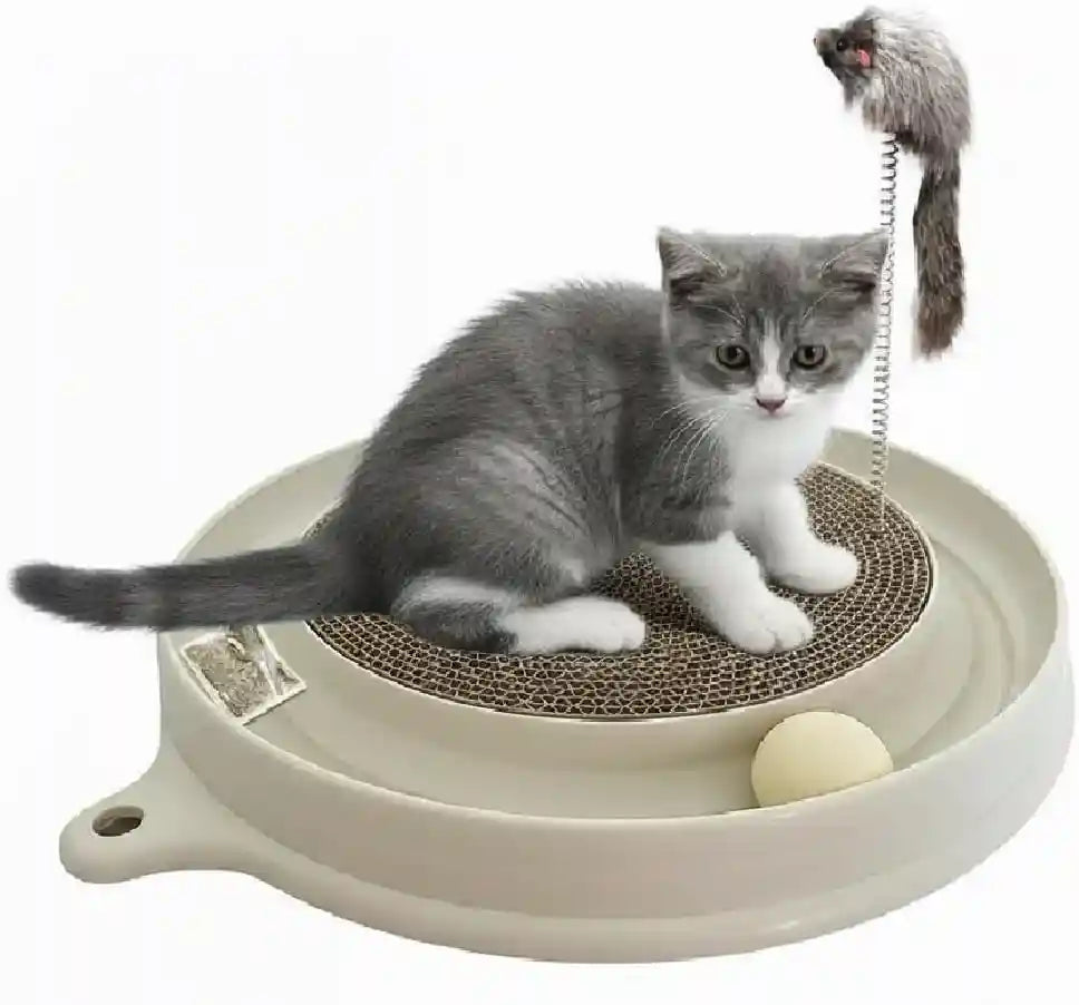 auoon-cat-scratcher-toy-with-ball-track-for-indoor-cats-and-kittens-gray-3-in-1-interactive-cat-toy-cat-scratch-pad-with-cat-ball-toy-and-cat-mouse-toy-for-chasing-exercise-protect-furniture