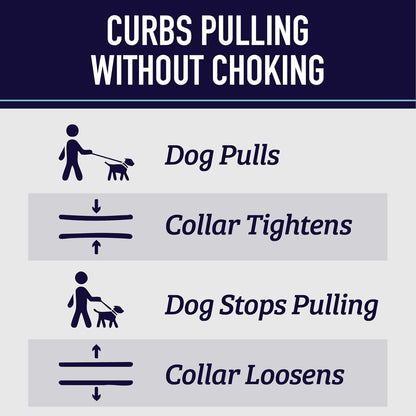 Leash Boss Martingale Collar for Dogs - Steel Chain | Reflective Nylon Dog Collar for Large Dogs, Medium and Small Dogs | No Pull Pet Training Collar Small3