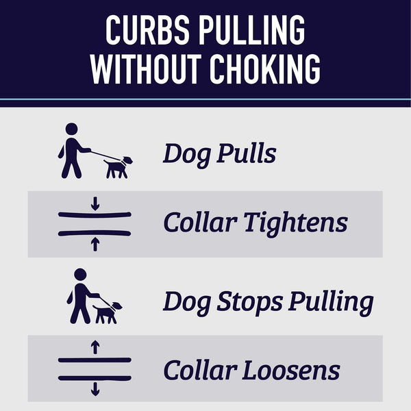 Leash Boss Martingale Collar for Dogs - Steel Chain | Reflective Nylon Dog Collar for Large Dogs, Medium and Small Dogs | No Pull Pet Training Collar Small3