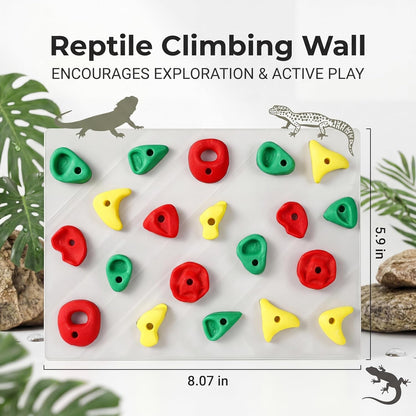 2-Pack Climbing Wall for Reptiles, Terrarium Habitat Decor | 2PCS Climbing Wall for Reptiles for Bearded Dragons, Leopard Geckos, Habitat Decor & Enrichment4