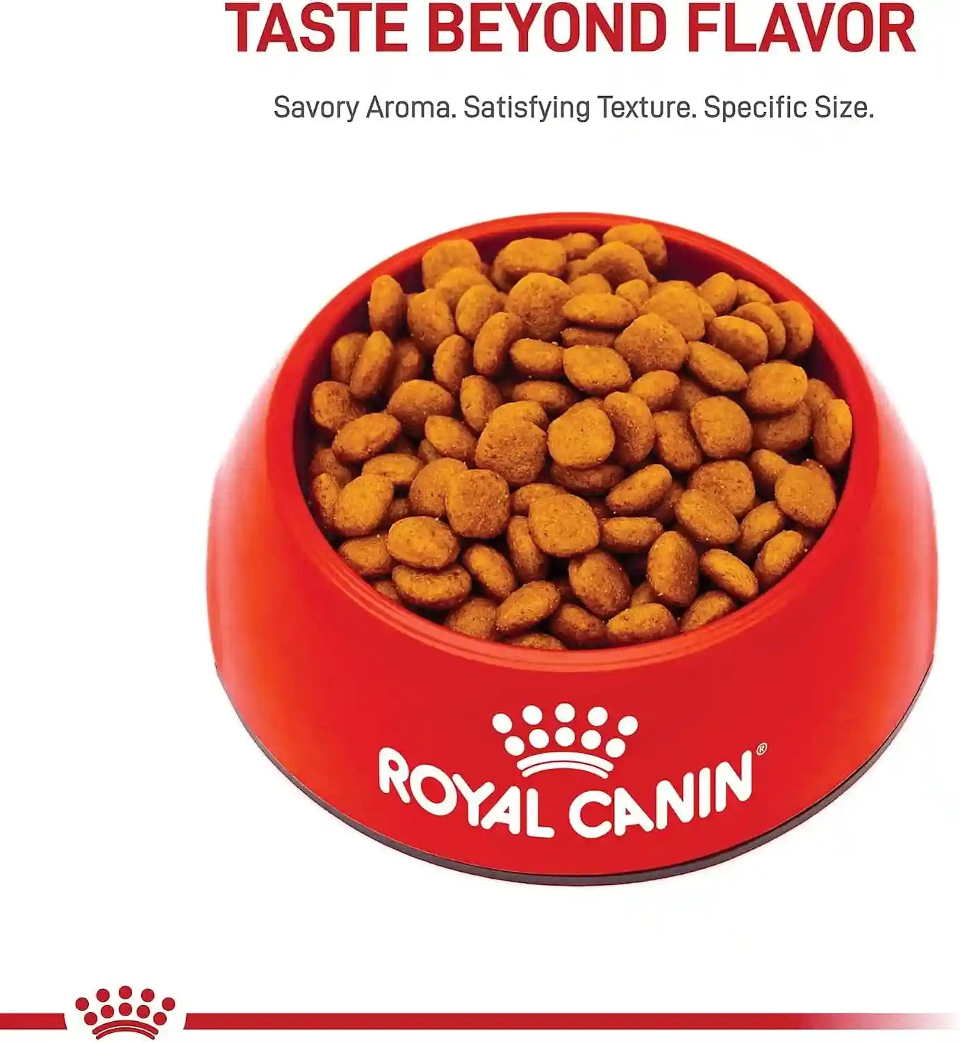 royal-canin-breed-health-nutrition-cavalier-king-charles-spaniel-adult-dry-dog-food-10-lb-bag-specialized-kibble-shape-supports-heart-health-formulated-for-breed-specific-needs-10-lb-resealable-bag
