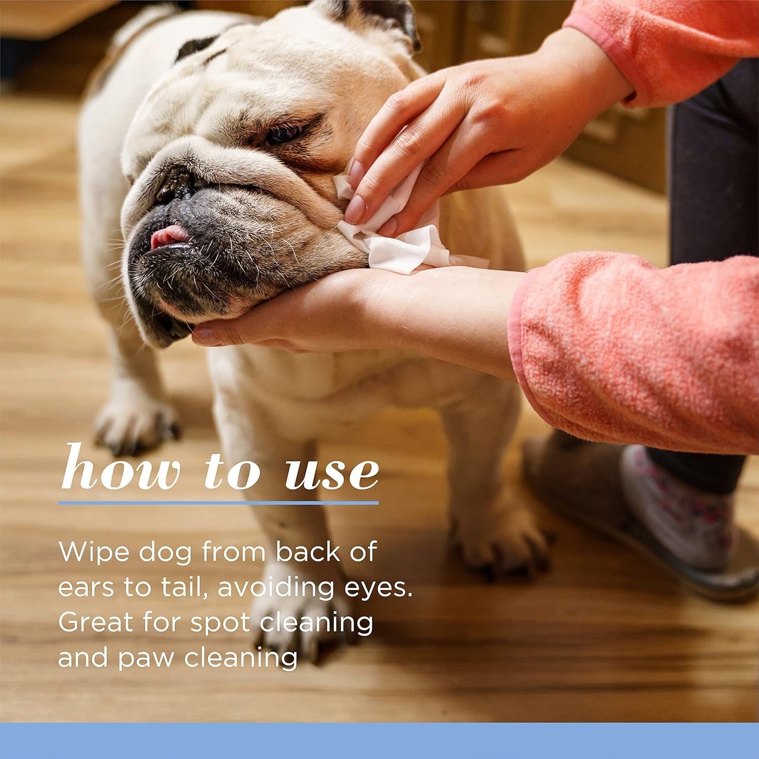 burts-bees-for-pets-gentle-cleansing-puppy-wipes-buttermilk-50-count-buttermilk-formula-hypoallergenic-98-natural-origin-gentle-cleansing-and-conditioning