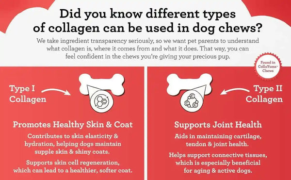 Dreambone Collayums Twists plus Collagen Chews for Dogs, 10 Count, Treat Your Dog to Rawhide-Free Chews Made with Chicken, Vegetables and Peanut Butter5