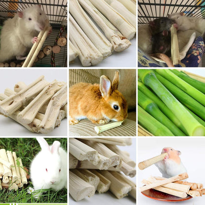 BWOGUE 100G Pet Snacks, Bamboo Chews for Rabbits, Sweet Bamboo Chew Sticks | About10-14 Sticks, 3.94 in Bamboo Sticks for Rabbits, Rabbit Chew Toys, Squirrels, Guinea Pigs, Chinchillas & Hamsters4